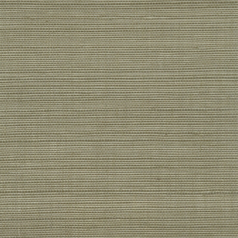 Light Olive